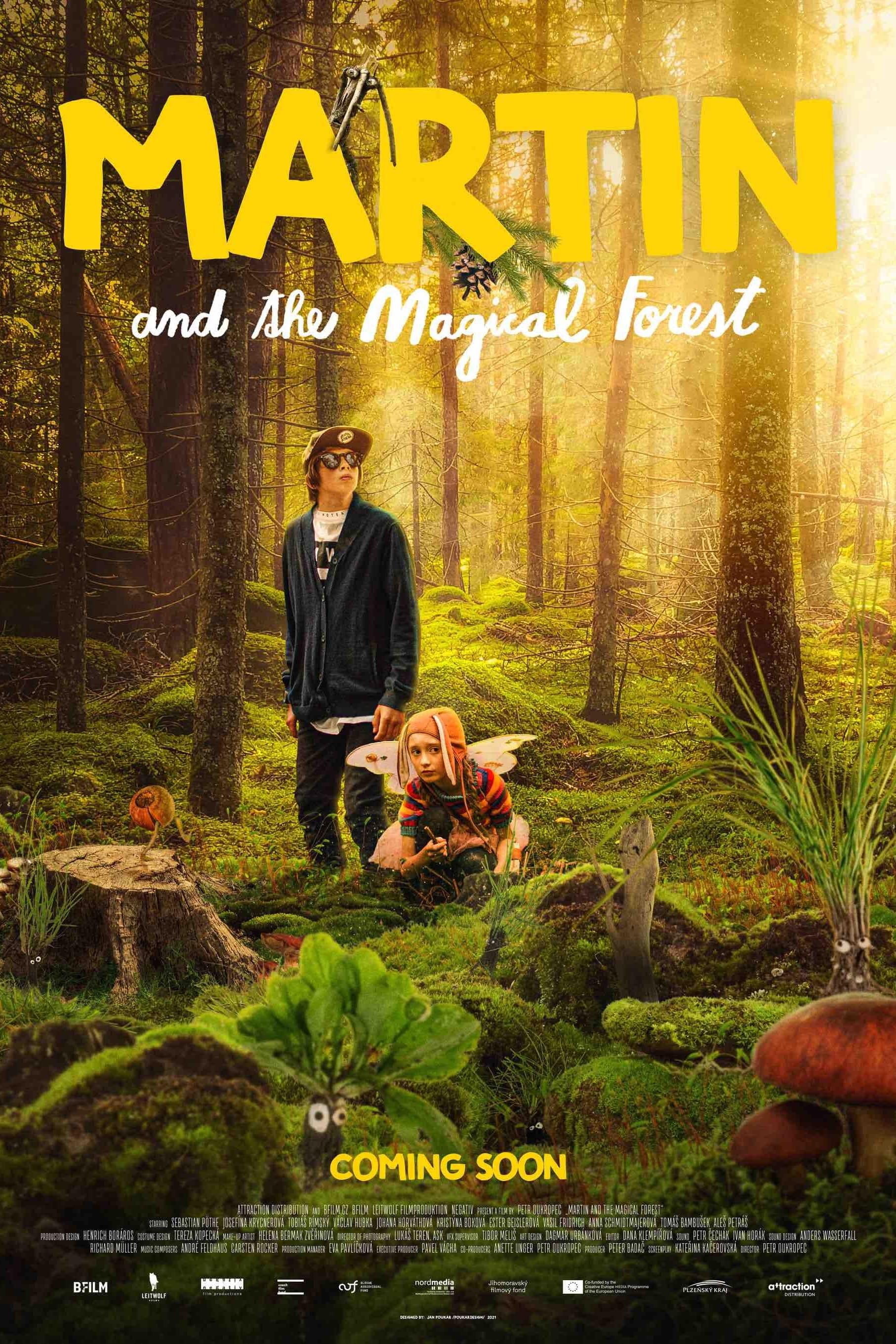 Martin and the Magical Forest poster