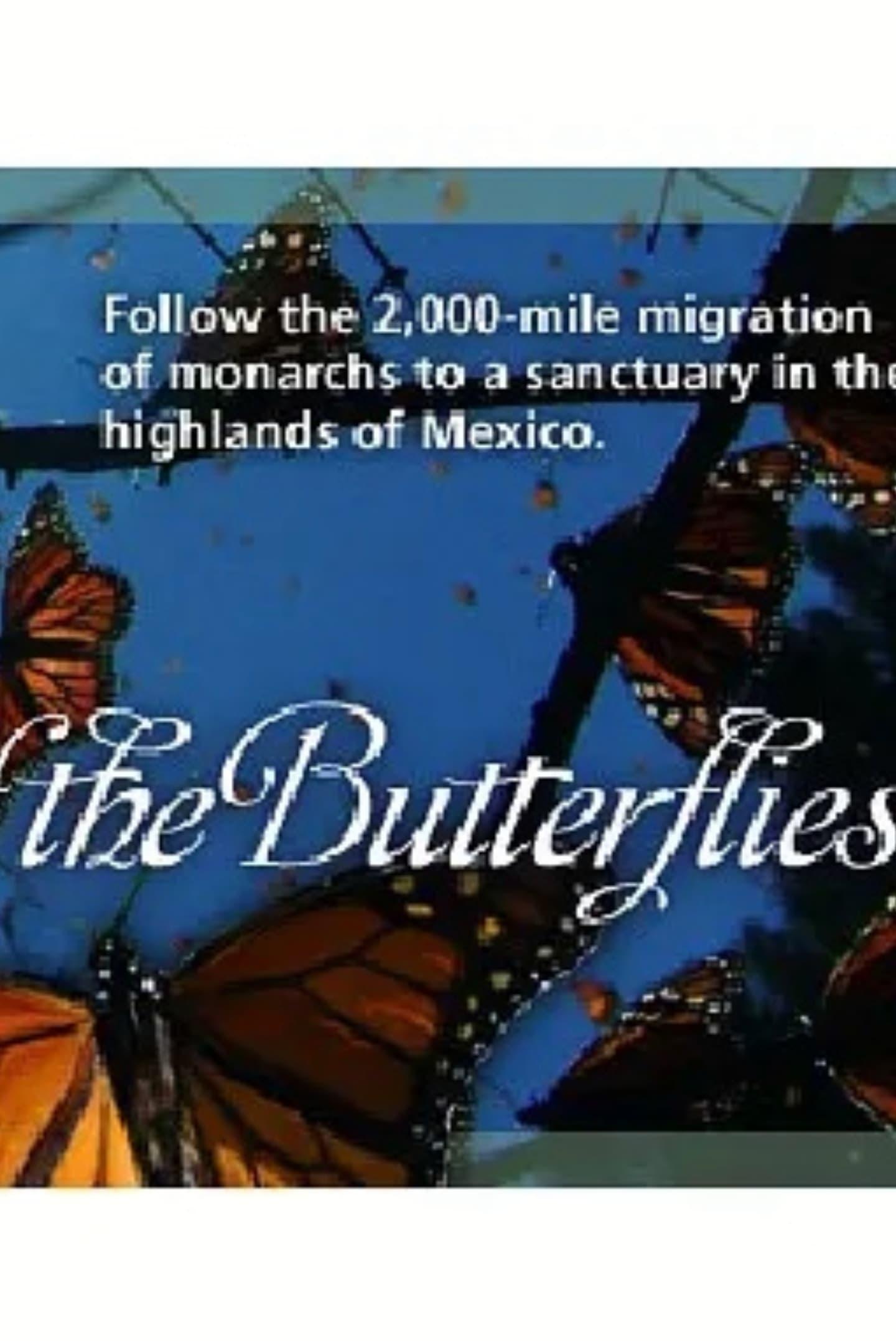 The Incredible Journey of the Butterflies poster