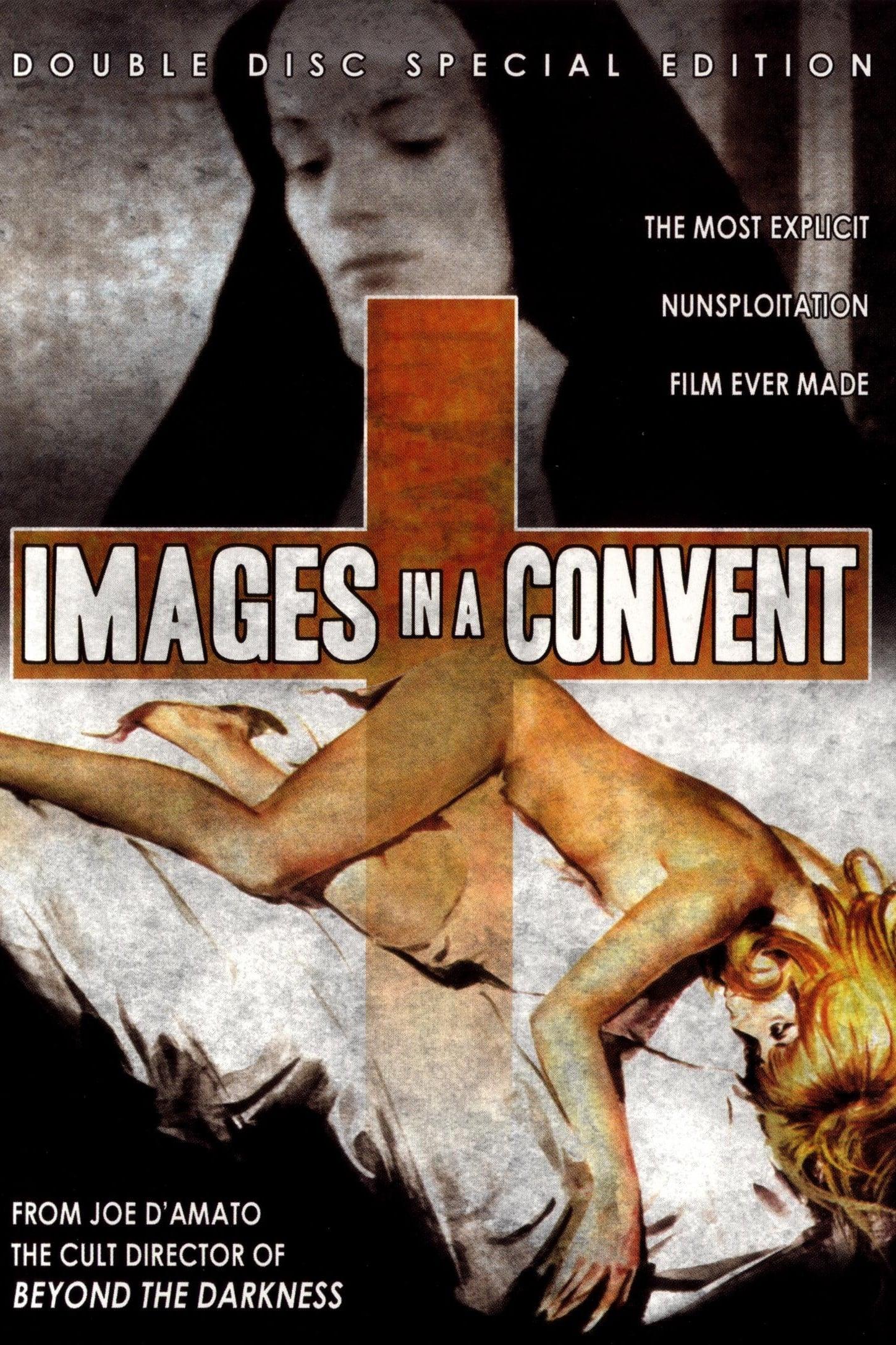 Images in a Convent poster