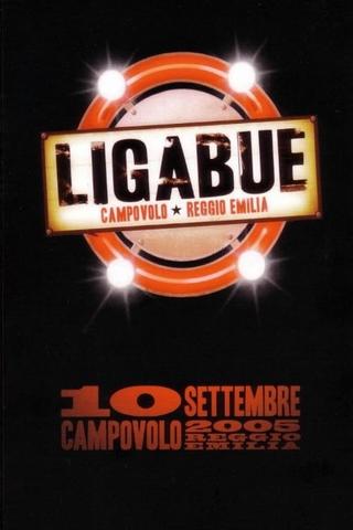 Ligabue Campovolo poster