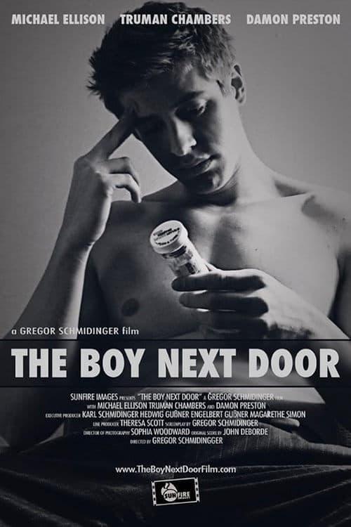 The Boy Next Door poster