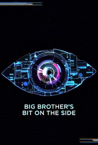 Big Brother's Bit on the Side poster