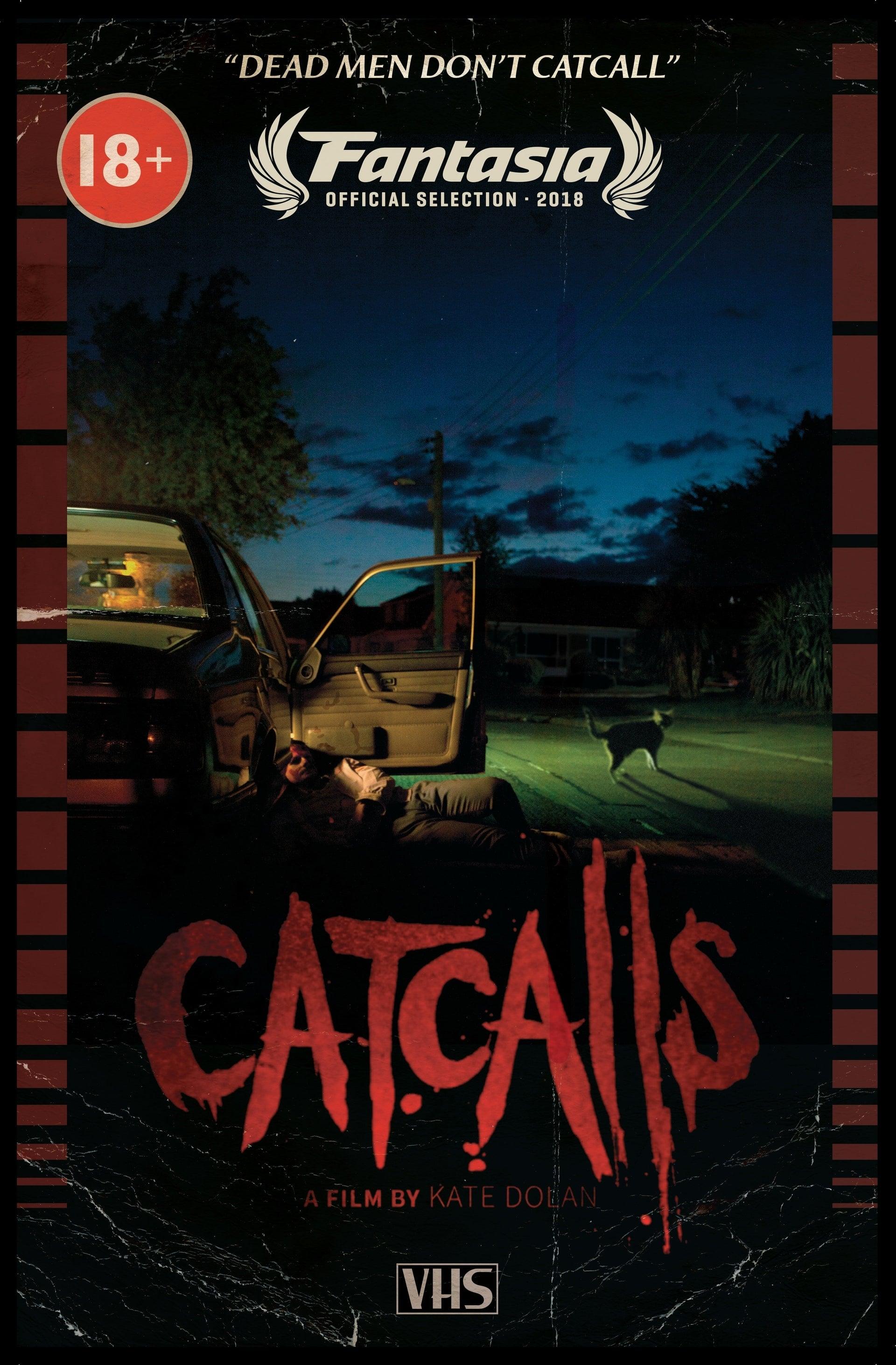 Catcalls poster