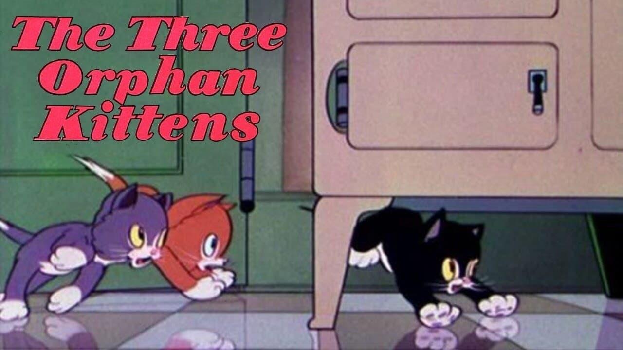 Three Orphan Kittens backdrop
