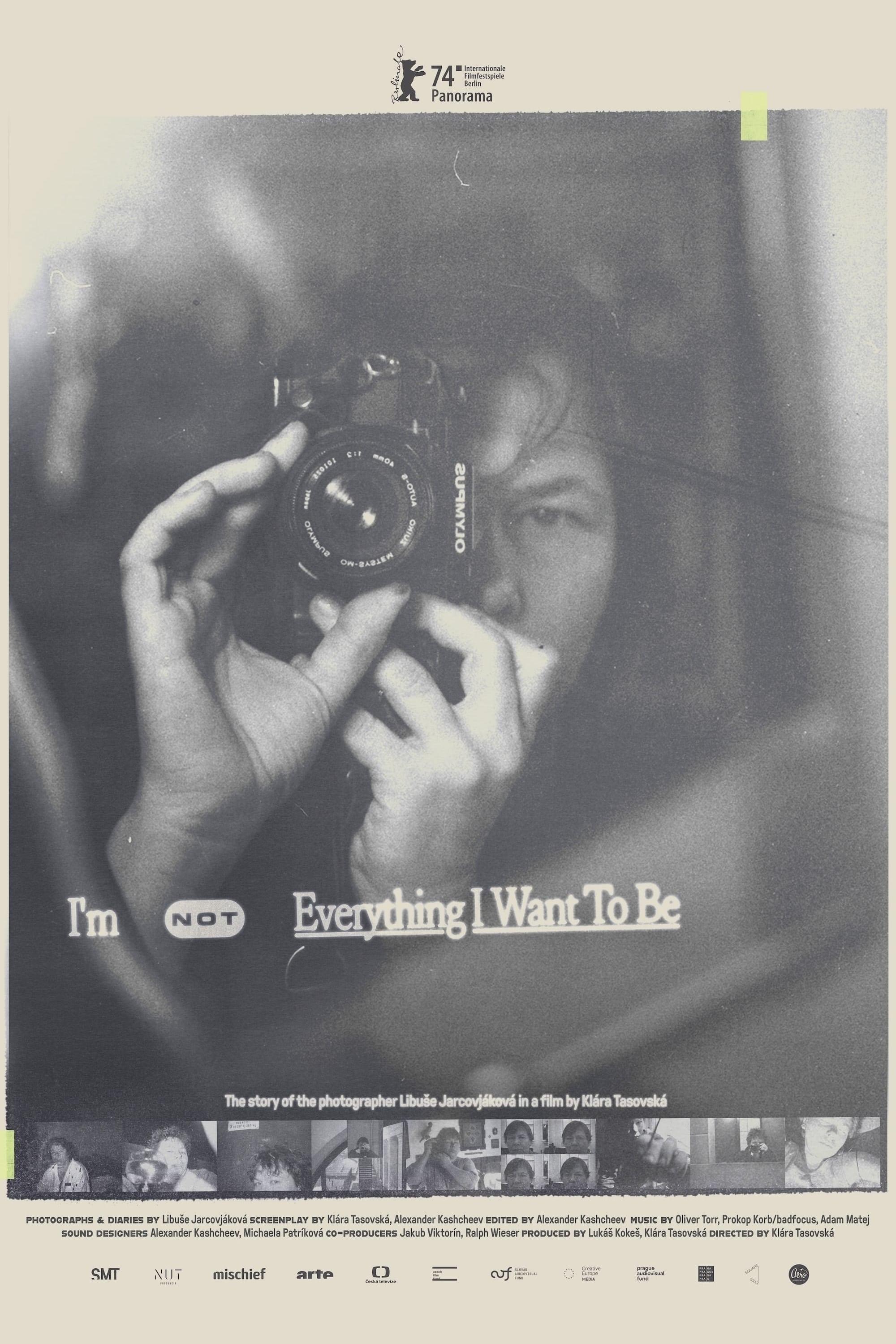 I'm Not Everything I Want to Be poster