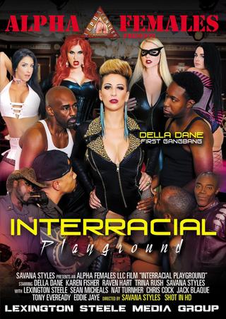 Interracial Playground poster