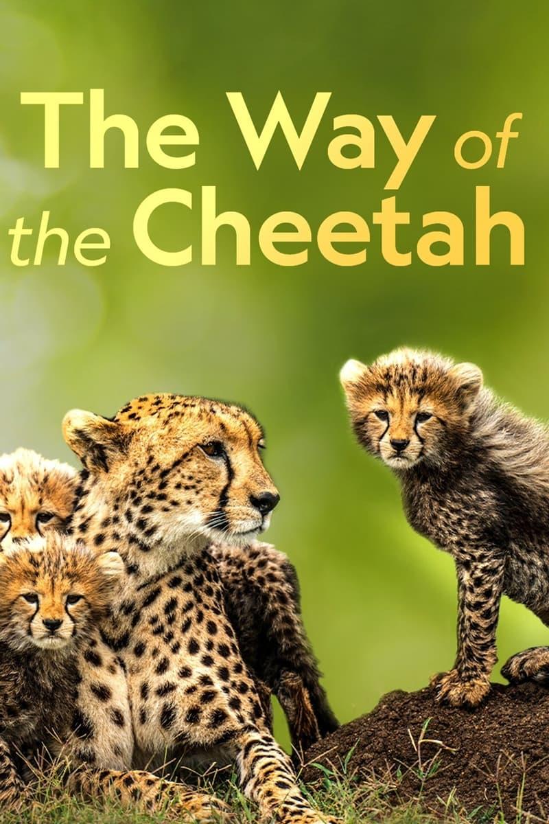 The Way of the Cheetah poster