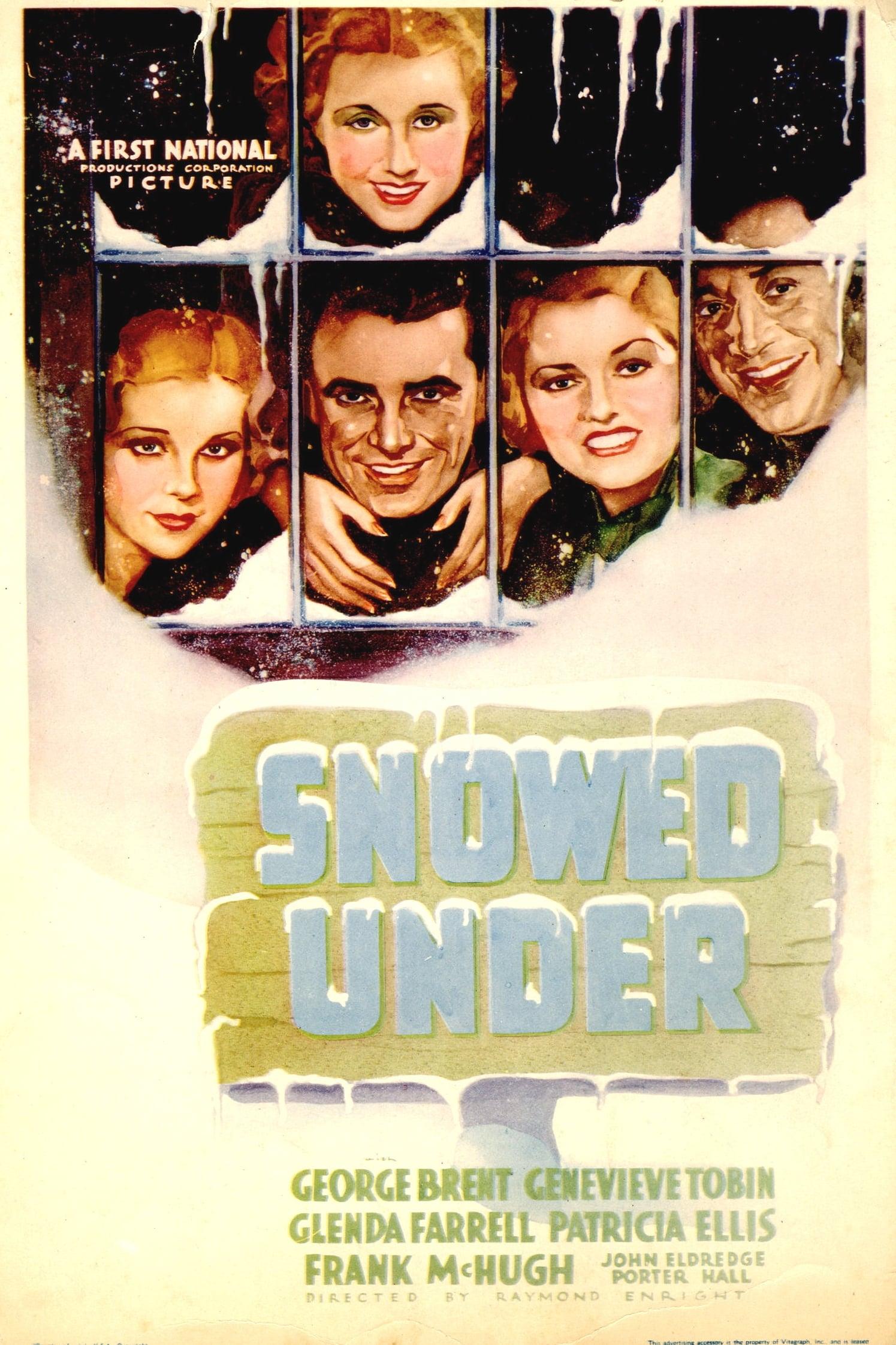 Snowed Under poster