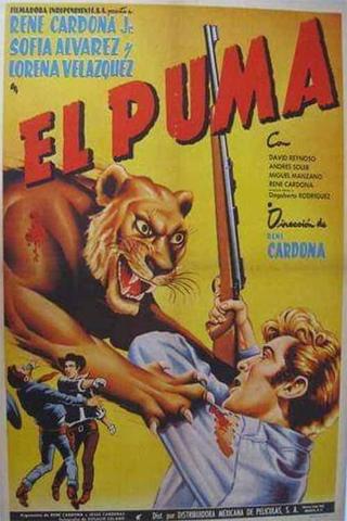 El puma poster