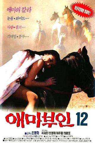 애마부인 12 poster