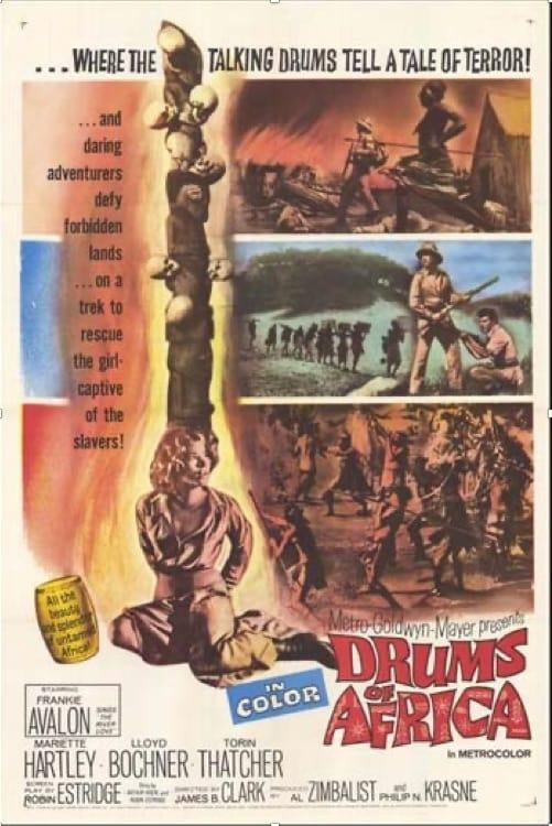 Drums of Africa poster