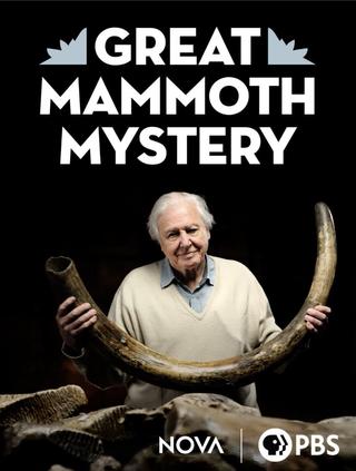 Great Mammoth Mystery poster