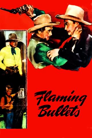 Flaming Bullets poster