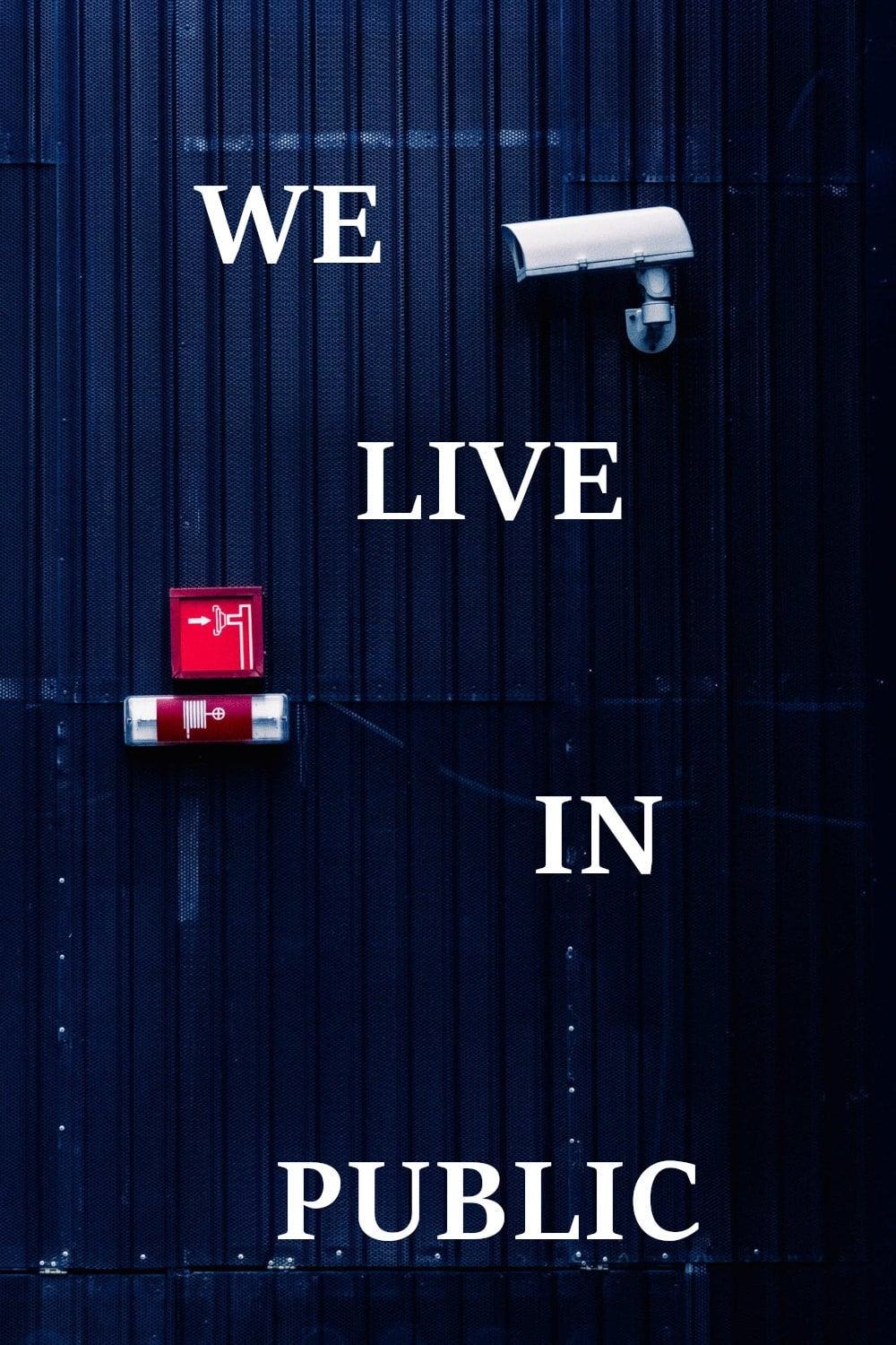 We Live in Public poster