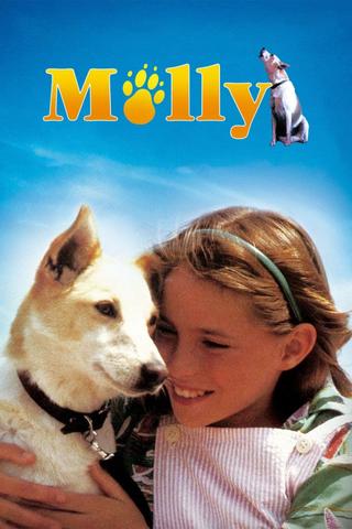 Molly poster