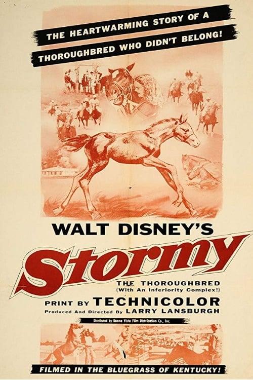 Stormy, the Thoroughbred poster