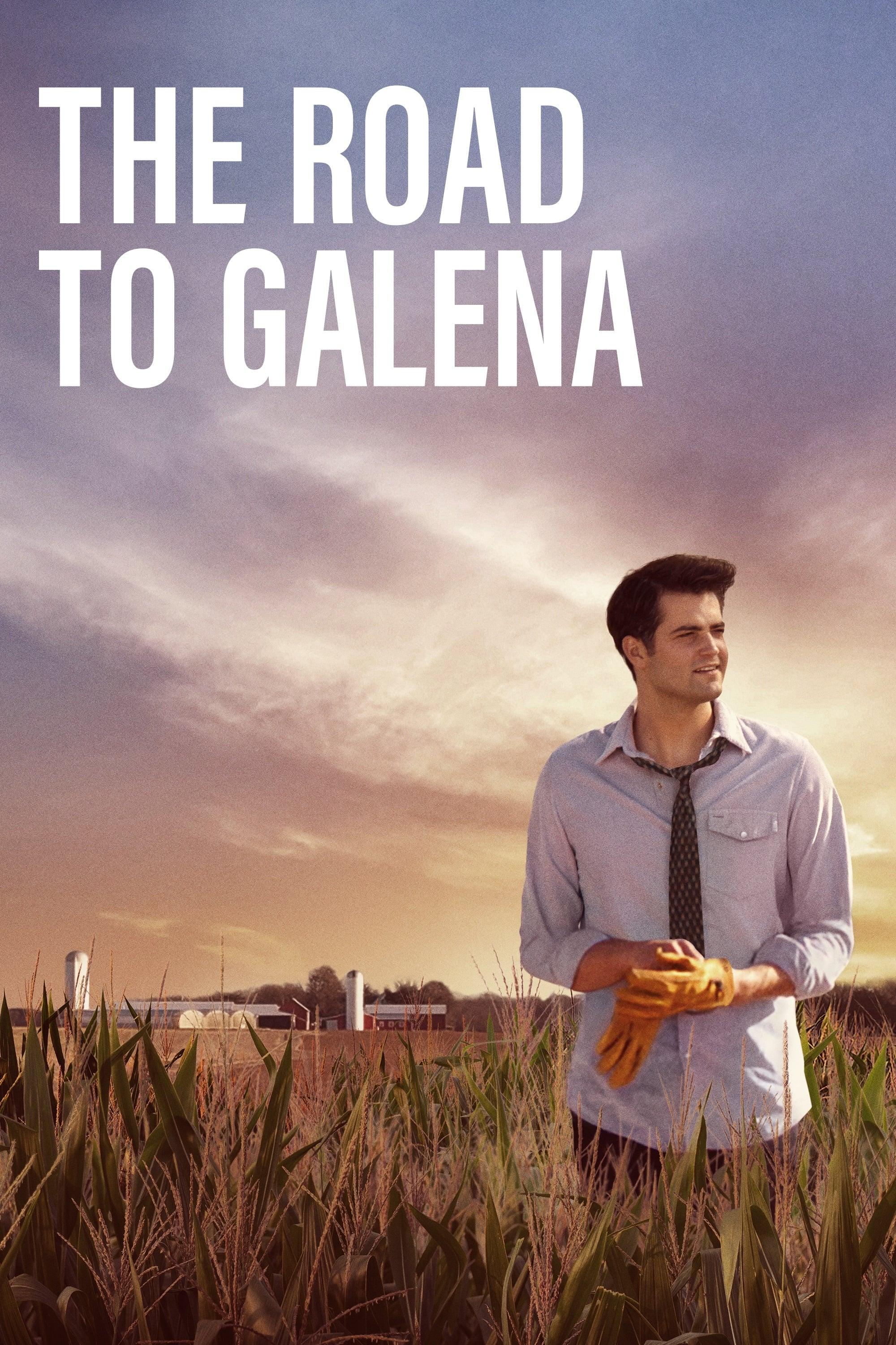 The Road to Galena poster