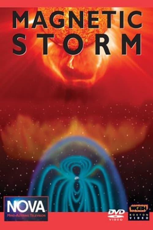 Magnetic Storm poster