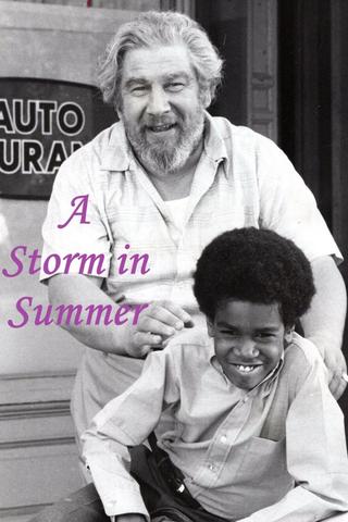 A Storm in Summer poster