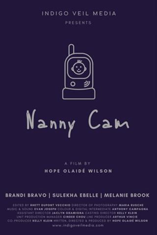 Nanny Cam poster