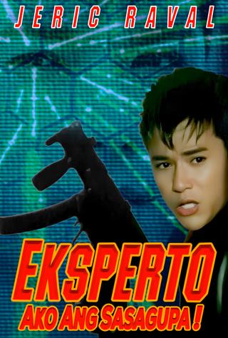 Eksperto: Ako Ang Sasagupa! poster
