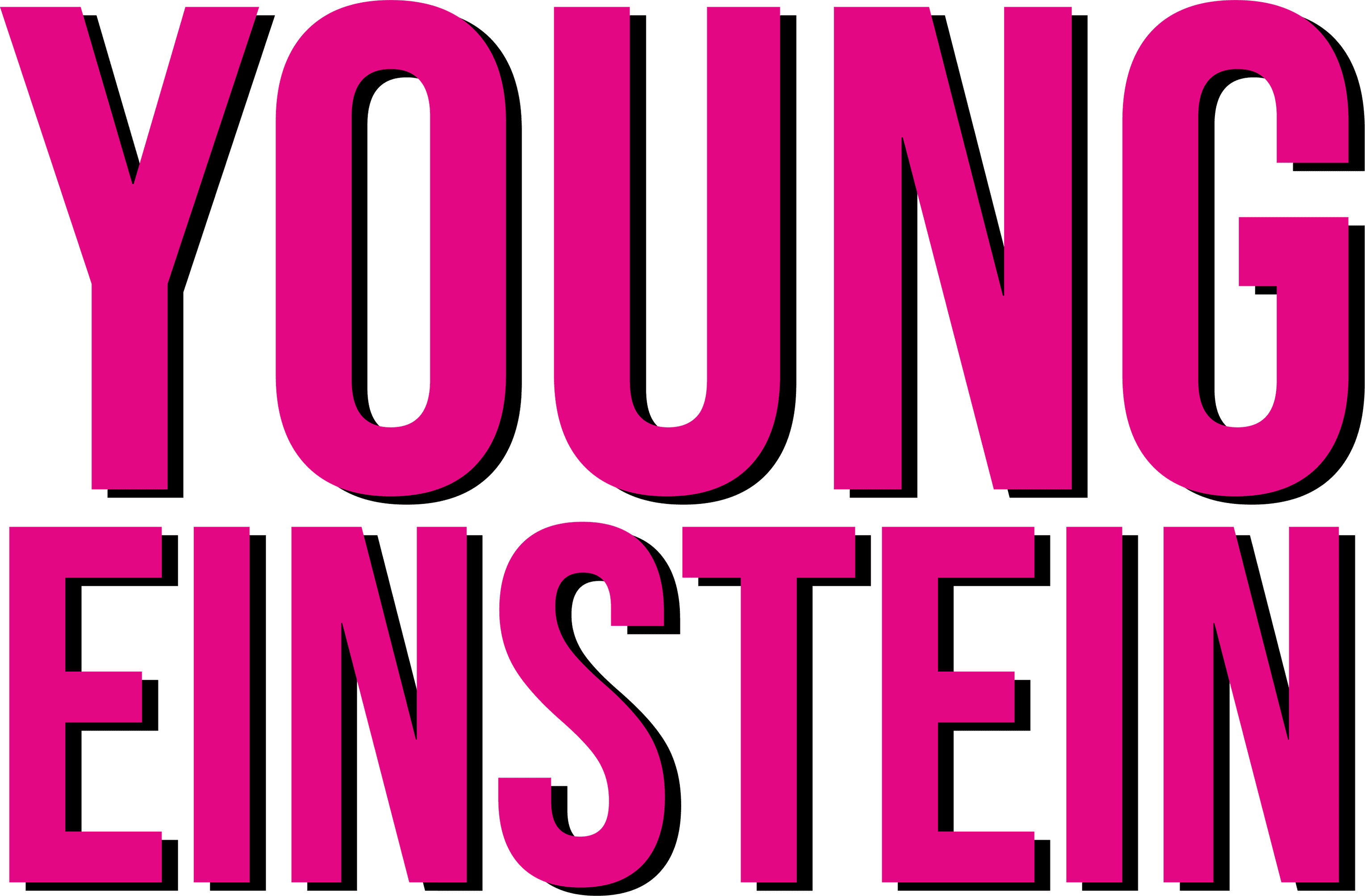 Young Einstein logo
