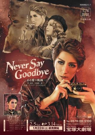 Never Say Goodbye poster