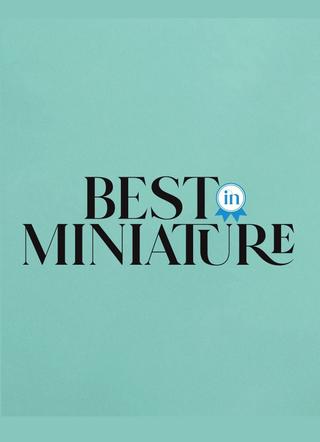 Best In Miniature poster