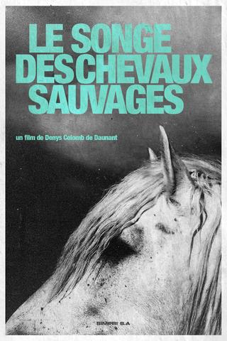 Dream of the Wild Horses poster