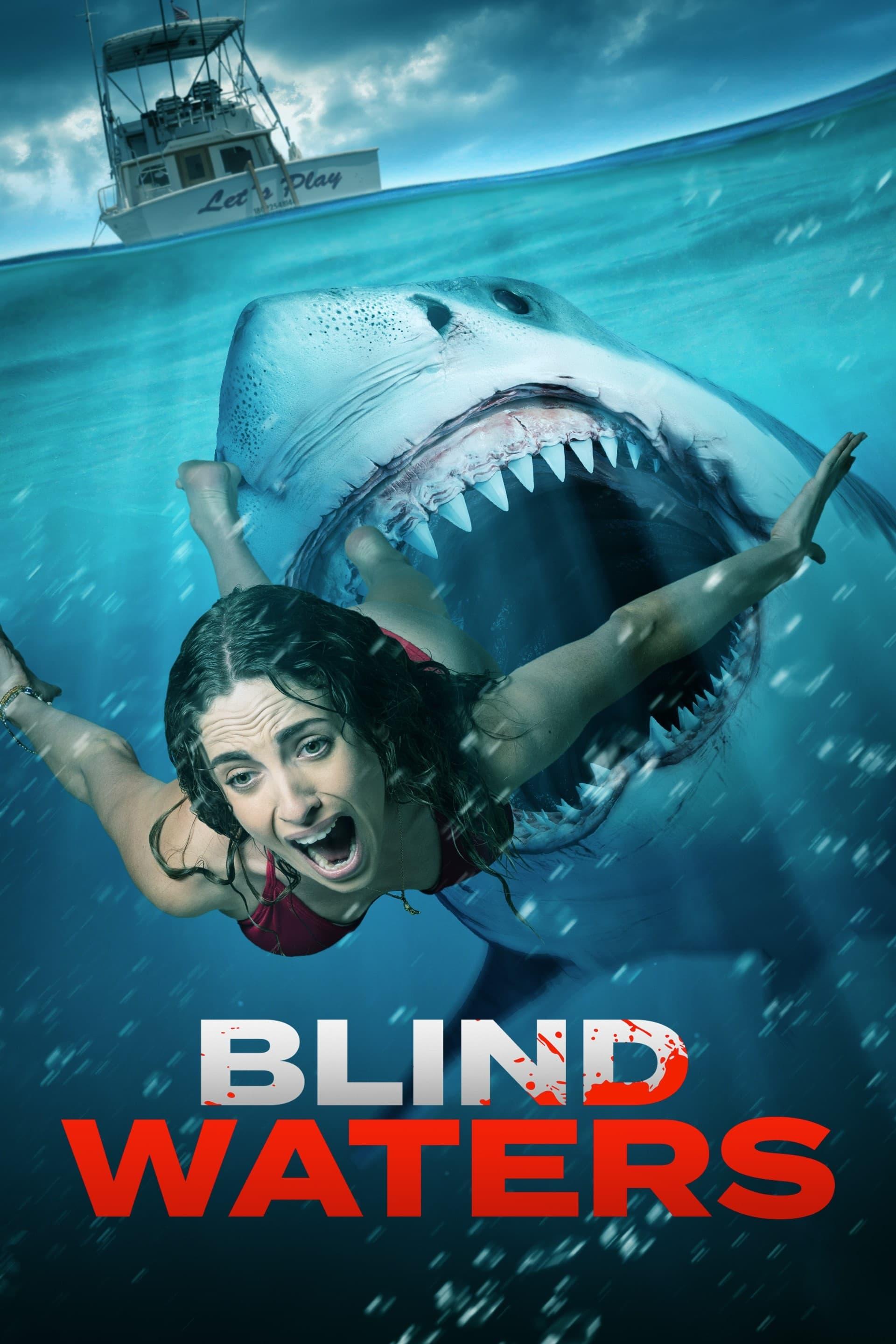 Blind Waters poster