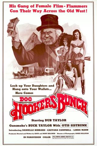 Doc Hooker's Bunch poster