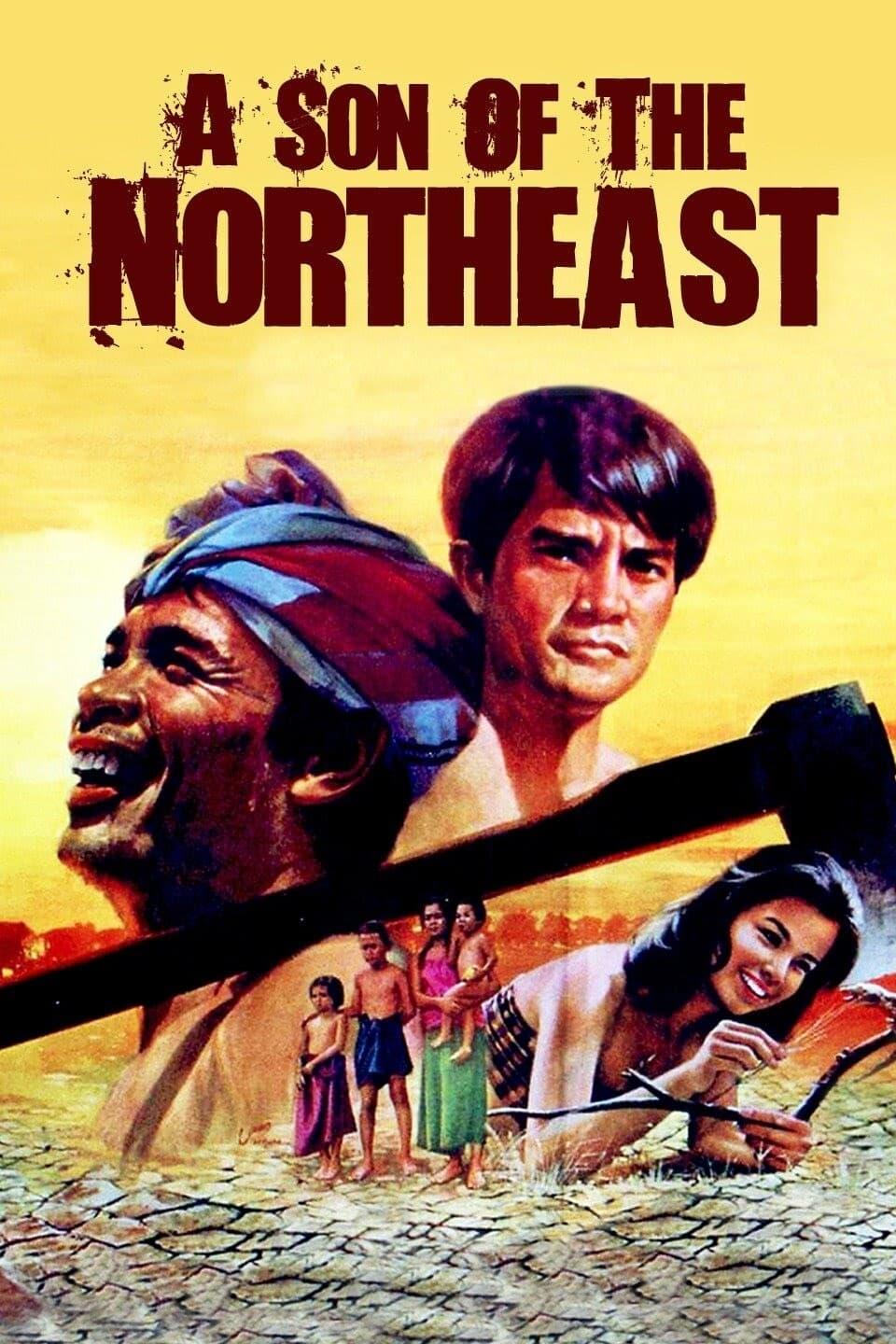 A Son of the Northeast poster