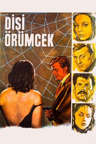 Dişi Örümcek poster