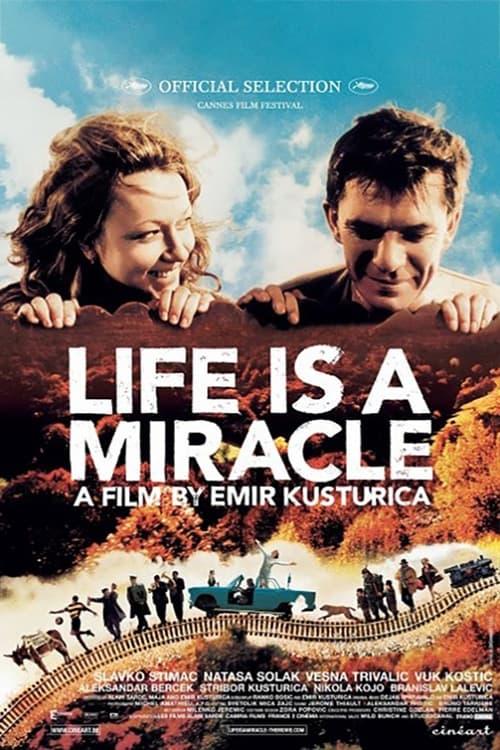 Life Is a Miracle poster