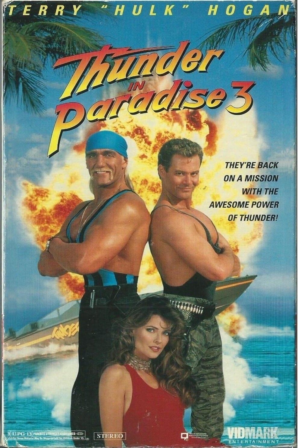 Thunder in Paradise 3 poster