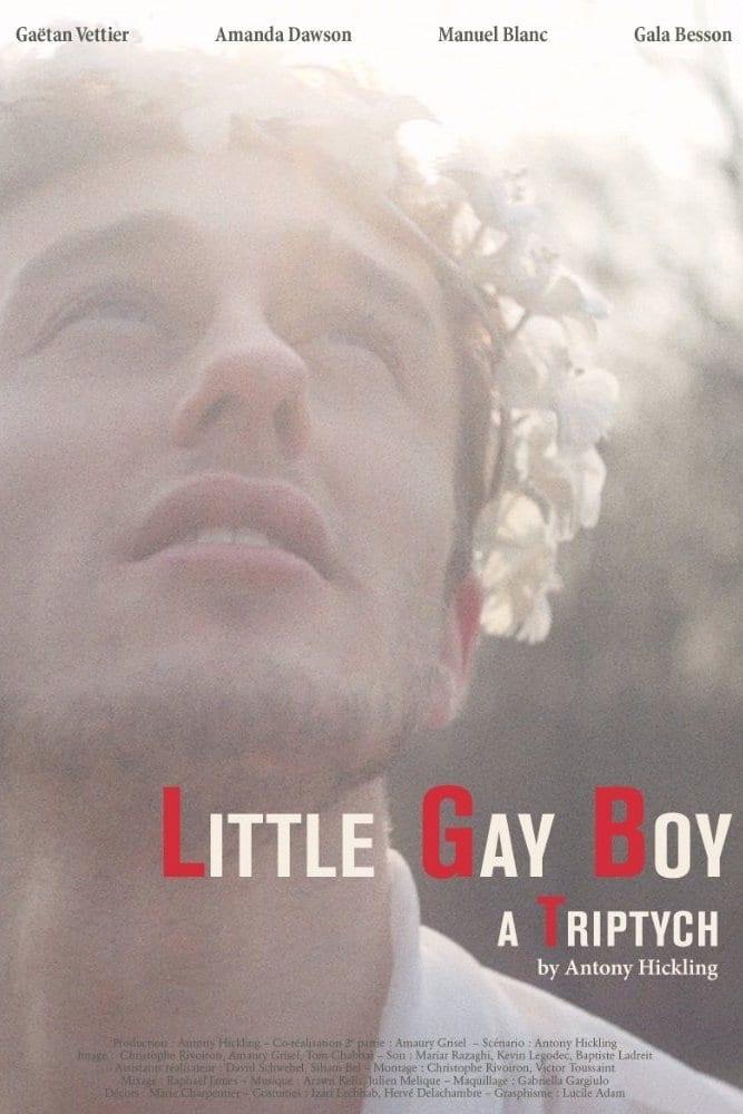 Little Gay Boy poster
