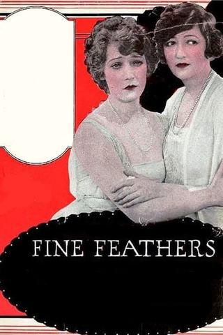 Fine Feathers poster