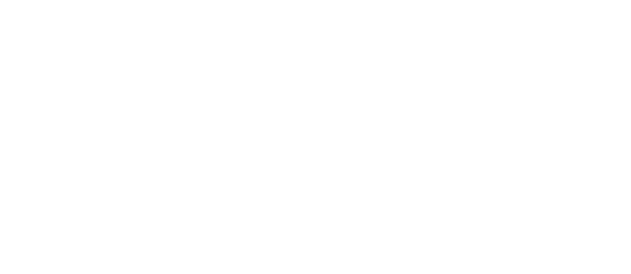 Catch Us If You Can logo