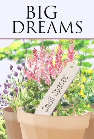 Big Dreams Small Spaces poster