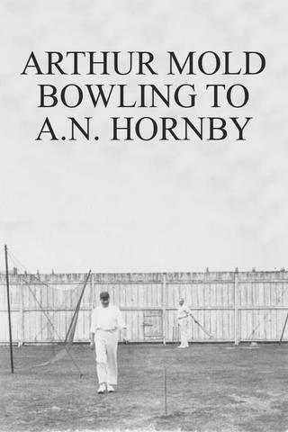 Arthur Mold Bowling to A.N. Hornby poster