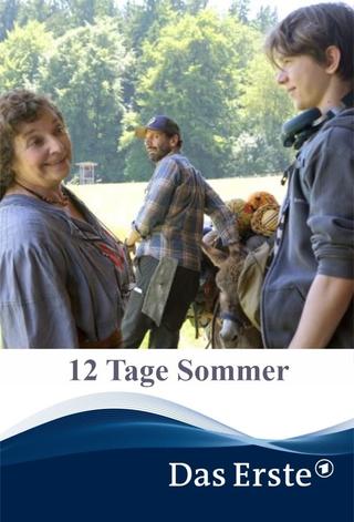 12 Tage Sommer poster
