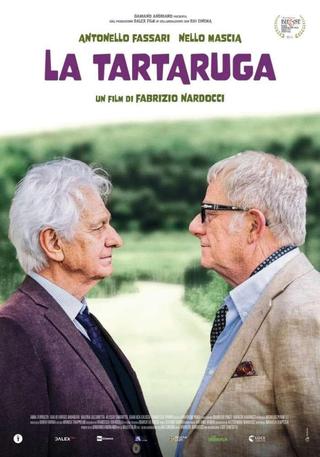 La tartaruga poster