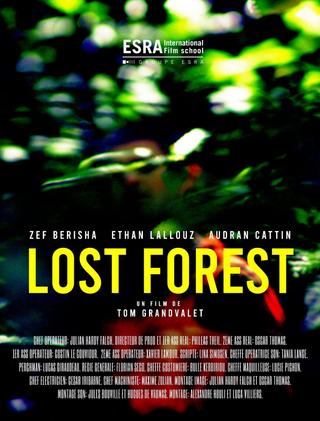 Lost Forest poster