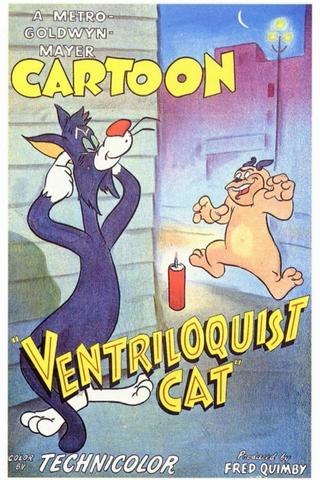 Ventriloquist Cat poster