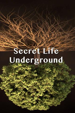 Secret Life Underground poster