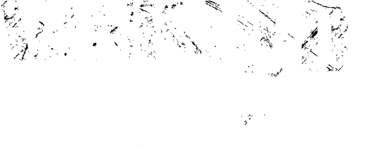Vanished in Yosemite logo