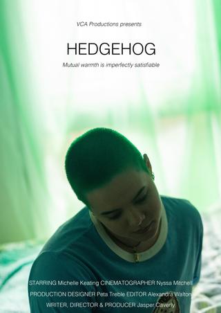 Hedgehog poster