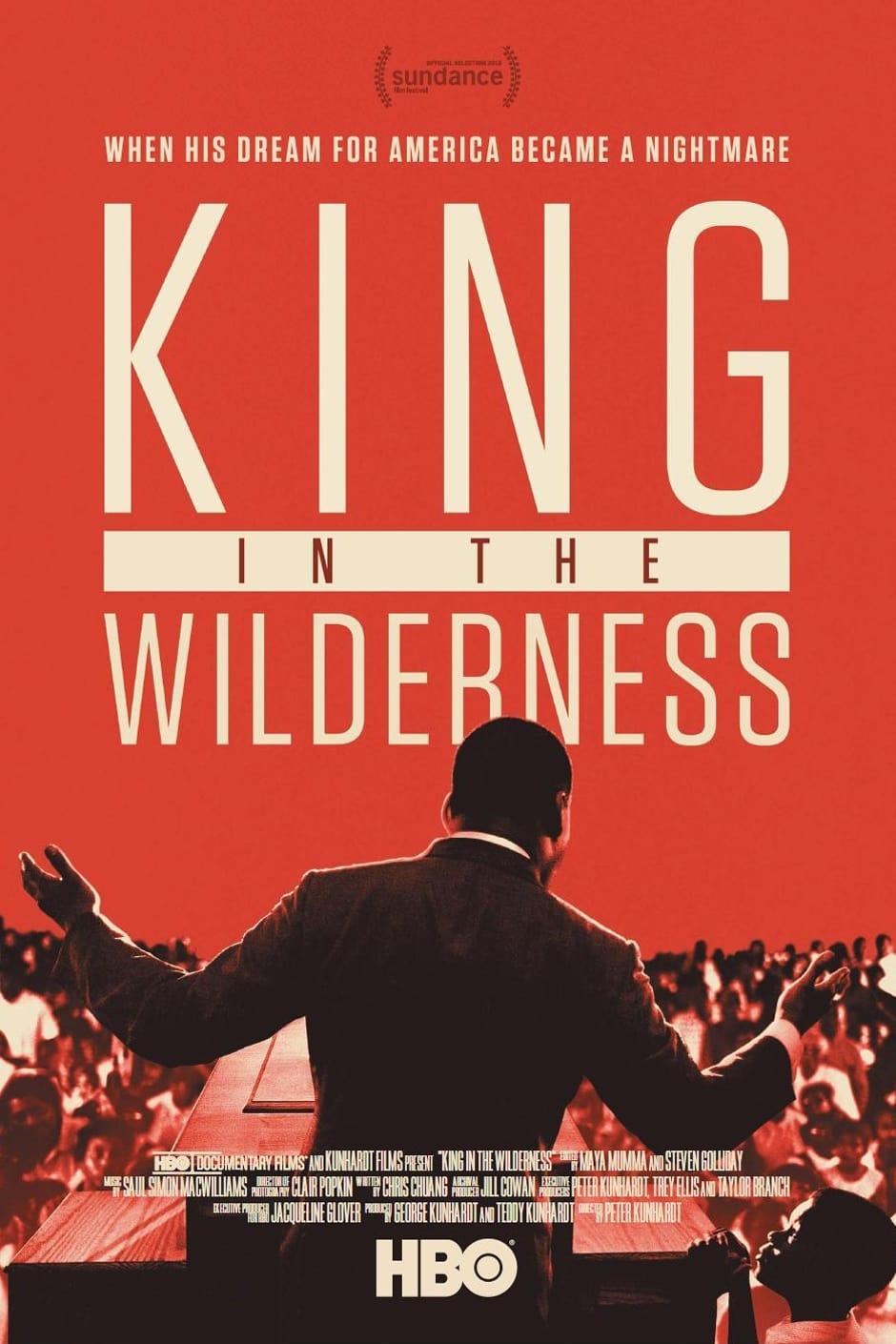 King in the Wilderness poster
