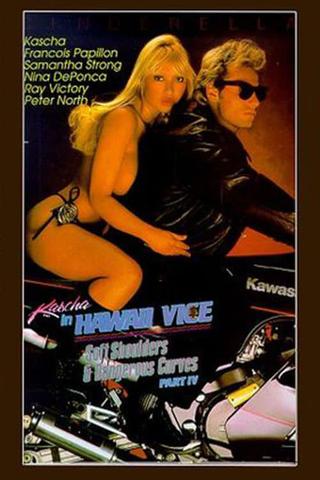 Hawaii Vice 4 poster