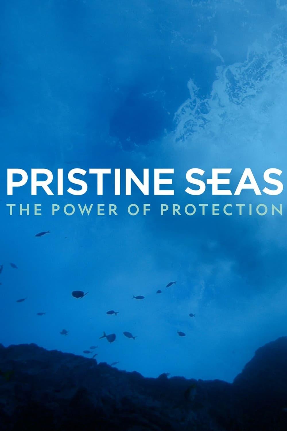 Pristine Seas: The Power of Protection poster